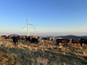 Започва 159-то съвместно патрулиране на река Меконг