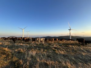 AI асистентът Yuanbao на Tencent се издига до второ място в класацията за безплатни приложения на Apple след DeepSeek · TechNode