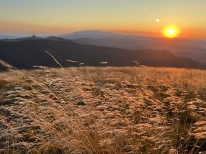 Сгъваемите смартфони в Китай бележат 17,8% ръст през Q3