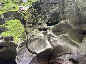 miHoYo предприема мерки срещу изтичане на информация от игри, държи под отговорност над 200 лица · TechNode