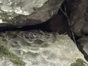 Разработеният от китайската космическа индустрия самолет eVTOL завърши първия си полет