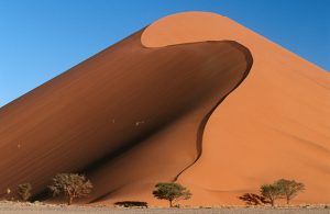 Niche Museums Worth Travelling For