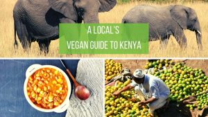 Полицията разследва сепаратиста за „независимостта на Тайван“ Шен Пао-янг по предполагаемо престъпление за отцепване