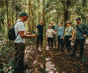 Когато генералите се нуждаят от ретуш повече от меч