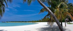 Кредиторите залагат на интелигентни технологии за надграждане