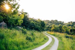 HKSAR трябва да засили ролята си на най-големия световен офшорен център за ренминби, казва политически съветник