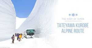 The Roof of Japan: Tateyama Kurobe Alapine Route (Guide)