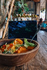 Божури в целия им блясък