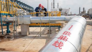 Tourist Sparks Outrage for Viral Photo