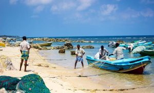 ЕС отчита 1,6 автобуса на 1000 души през 2024 г.