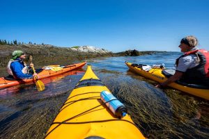 Китай изстреля сателит за Алжир