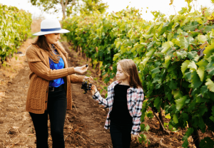 10 Best Places to Go for Thanksgiving This Year