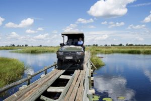 The Ins and Outs of an African Safari