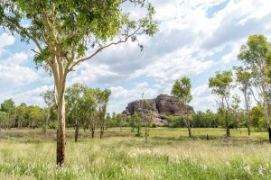 13 Amazing Kakadu National Park Walks (2025 Guide)