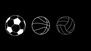 Slovenia vs France 95:103 – Dr Jam Travels