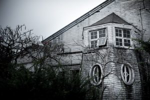 Live Halloween theater and immersive horror experiences worth traveling for