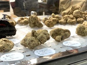 International Alba White Truffle Fair with Kids