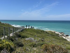 Morukuru De Hoop: The Perfect Family Lodge on South Africa’s Whale Coast – Wild Junket