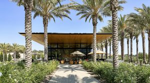 Explore Fairfield, CA: Gateway to the Suisun Valley Wine Region