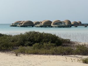 Review: Nujuma, a Ritz-Carlton Reserve