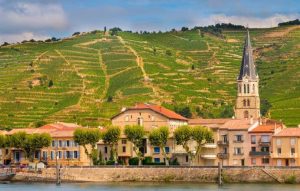 The Best European Destinations for Food & Wine Lovers