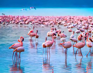 How to Plan the Perfect Day Trip to Lake Nakuru
