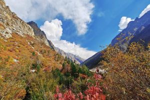Trekkers Nightmare: When Shoes Decide To Retire Mid-Hike