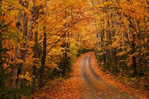 Affordable Road Trips That Showcase America’s Best Fall Colors
