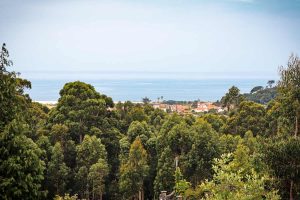 The combined Coastal and Central route of the Portuguese Camino
