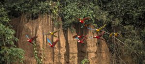 Natural Wonders of the World