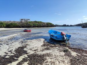 Unprofessional companies in Watamu Kenya – my bad experiences 1