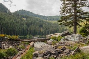6 Idaho Vacation Homes for Adventure and Relaxation