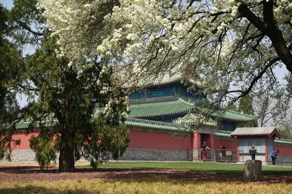 Културата и туристическото потребление остават силни