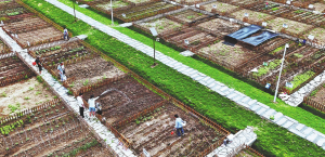 Засяване на семената на споделеното земеделие