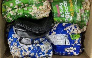 Австралийски контрабандист получи рекордните 8 години затвор за изпращане на гущери в торби с пуканки