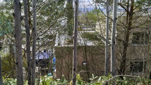 Зоологическата градина в японския Хокайдо отлага отварянето си заради търсене на труп в пещта за изгаряне на отпадъци