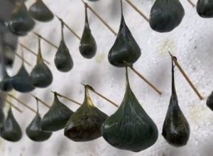 Китайка се завръща в родния си град, за да отгледа 60 000 отровни змии, печели 146 000 щатски долара годишно